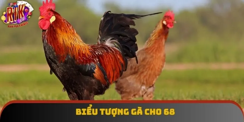 Biểu tượng gà cho 68