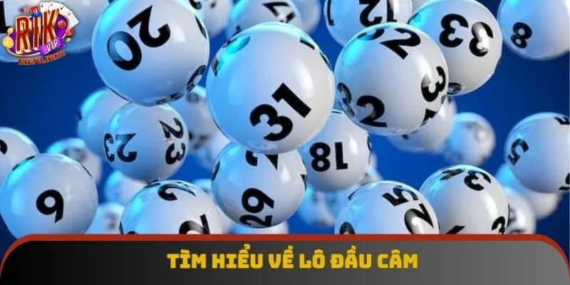 Tìm hiểu về lô đầu câm